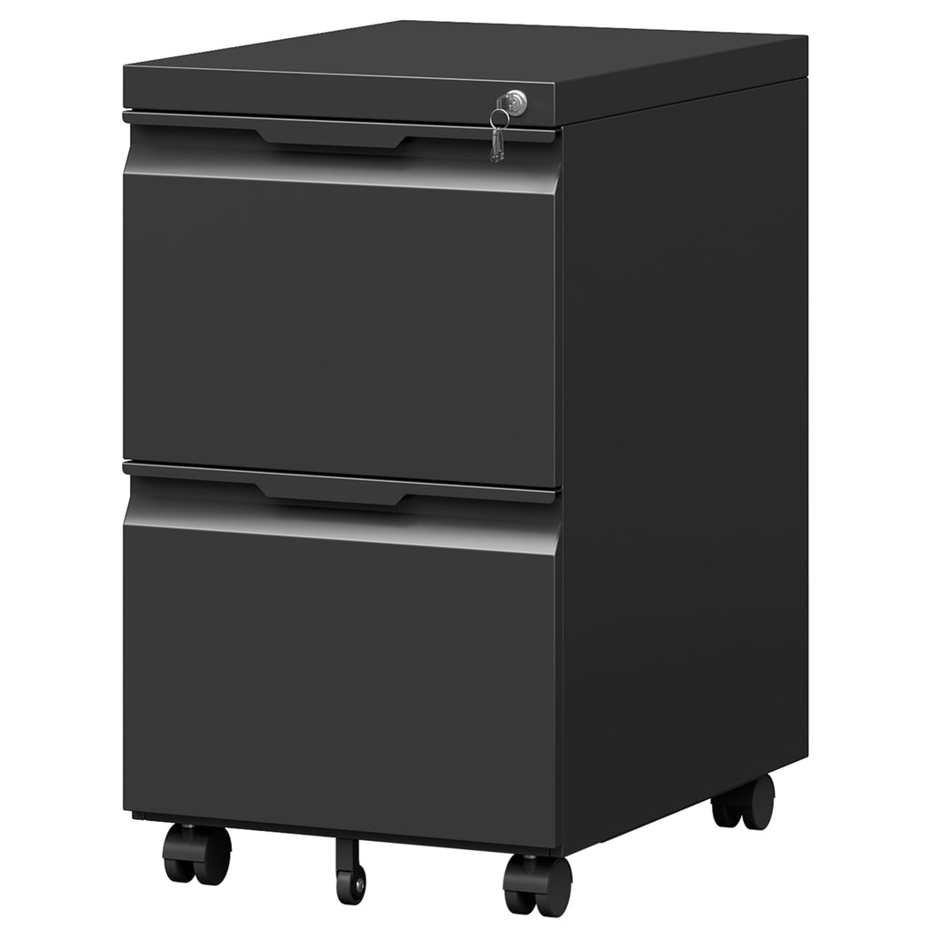 Black 2 Drawer Metal Rolling File Cabinet with Lock B10221