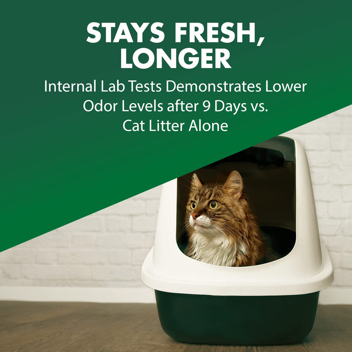 Cat Litter Deodorizer 20 Oz R840