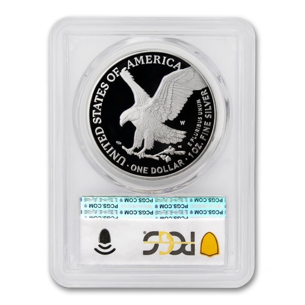 1 oz American Silver Eagle Proof G533501