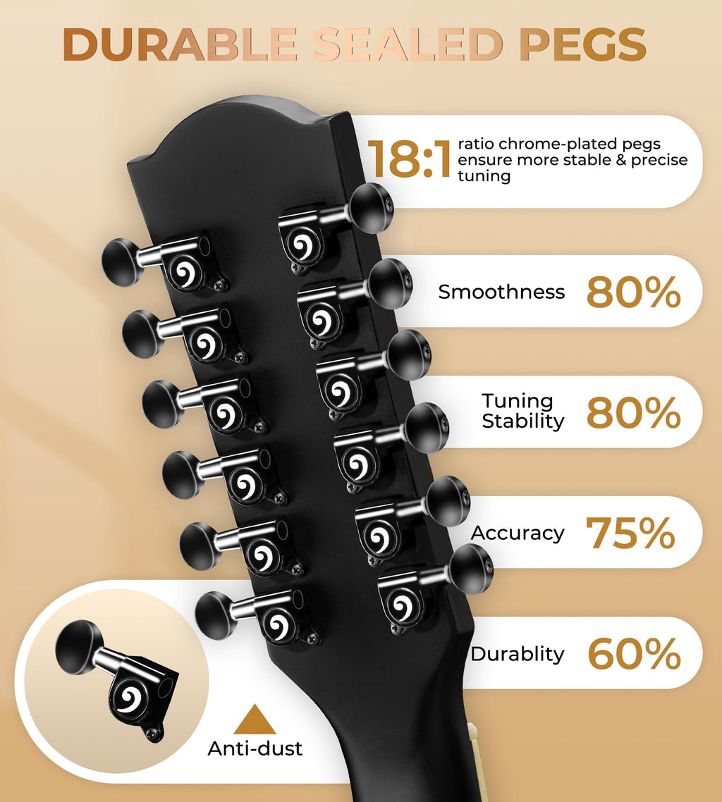 12 String Acoustic Electric Guitar Spruce Top Bone Nut Black Matte X91908