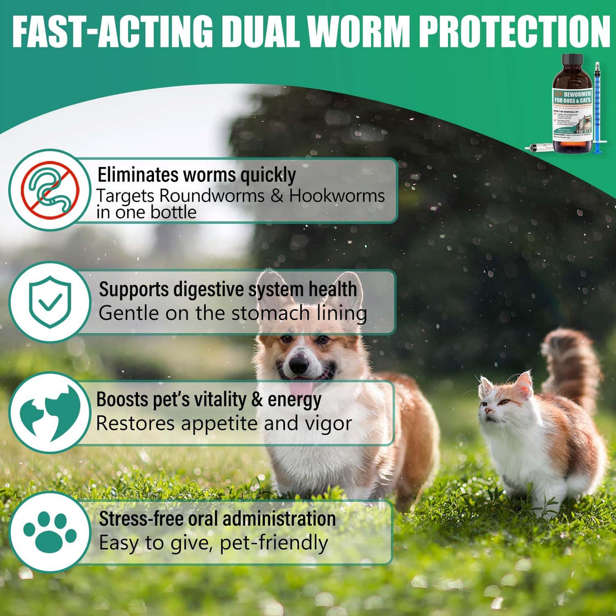 Liquid Dewormer 2X for Dogs & Cats, Pyrantel Pamoate Oral Liquid for Large Roundworms & Hookworms, 100 mL W4037