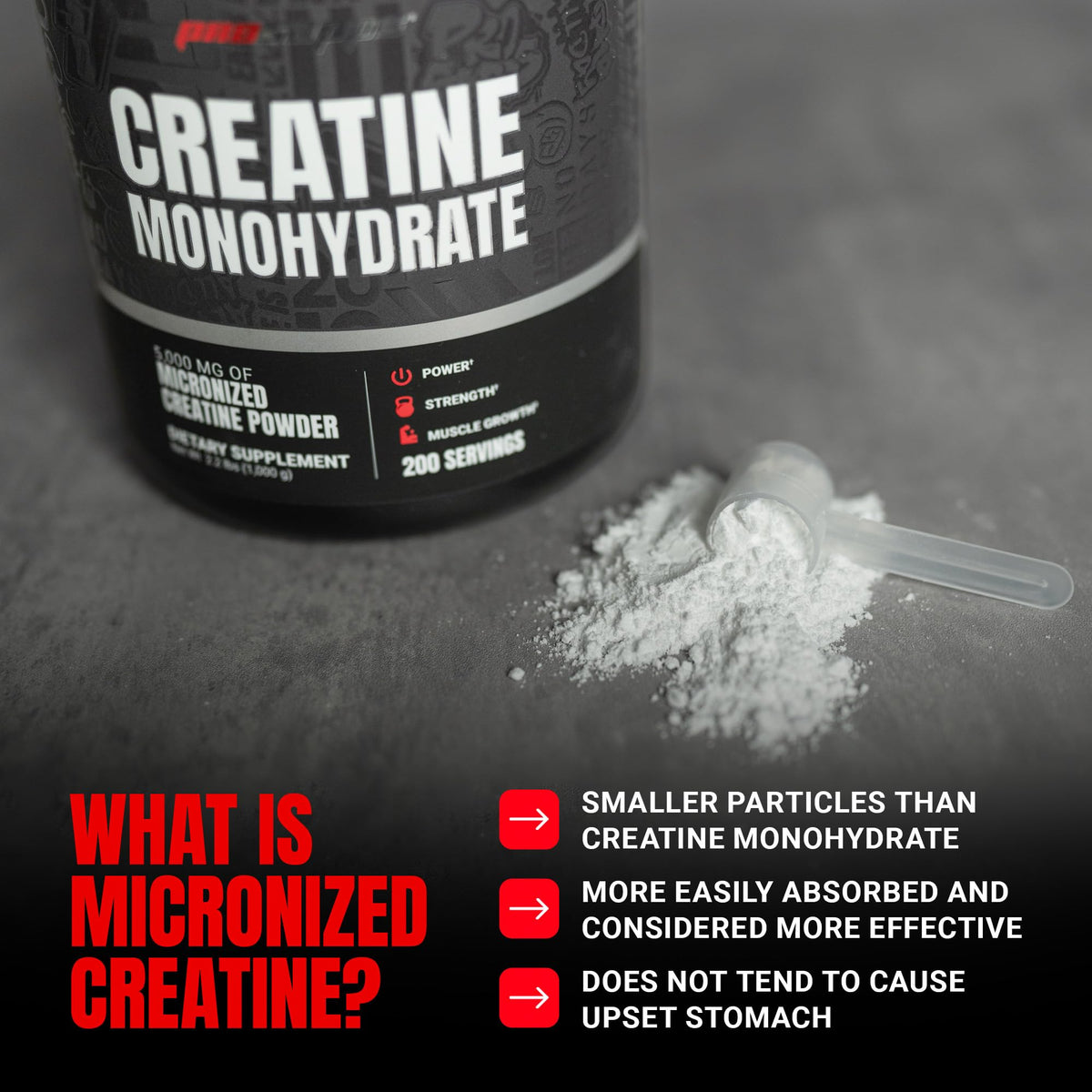 Creatine Monohydrate Powder Unflavored B681033