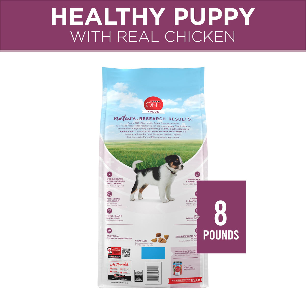 Chicken Dry Puppy Food 8 lb Bag M231417