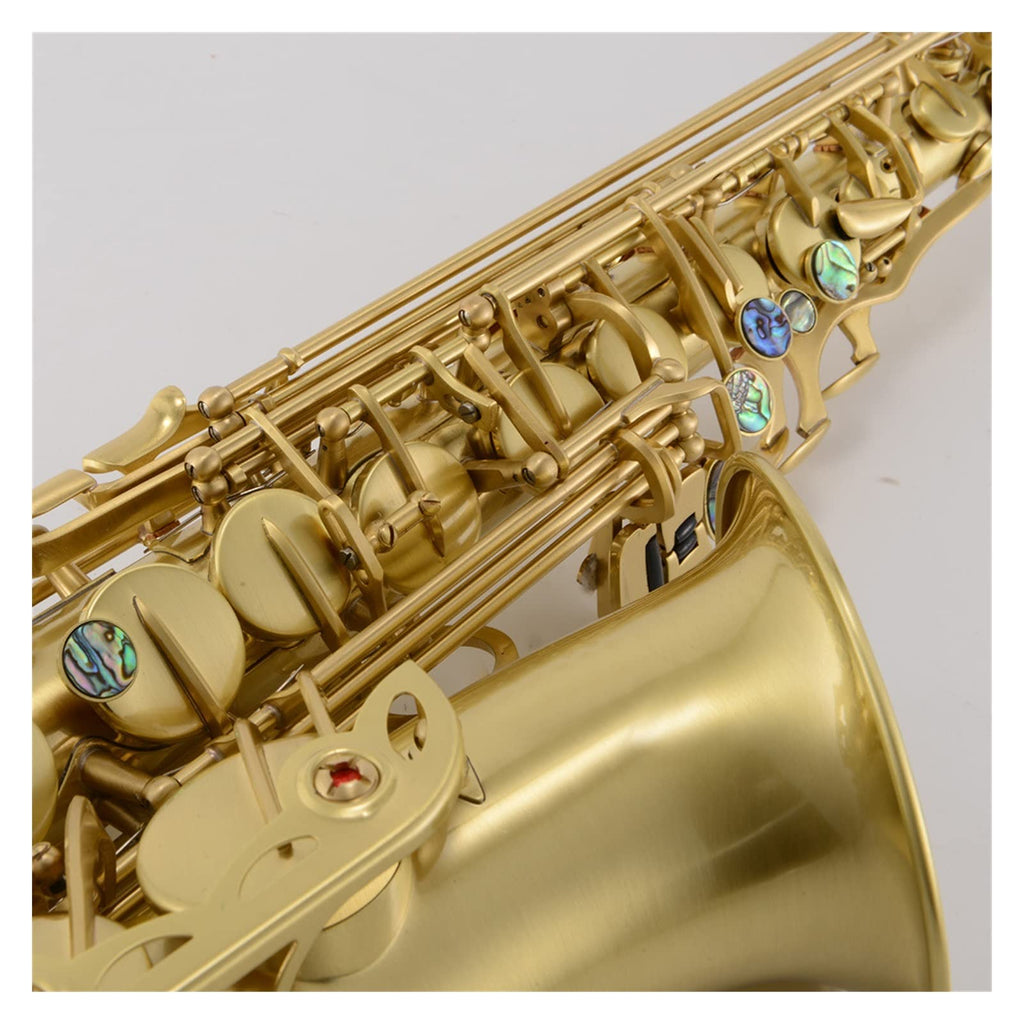 Antique Brushed E Flat Alto Saxophone Y9144
