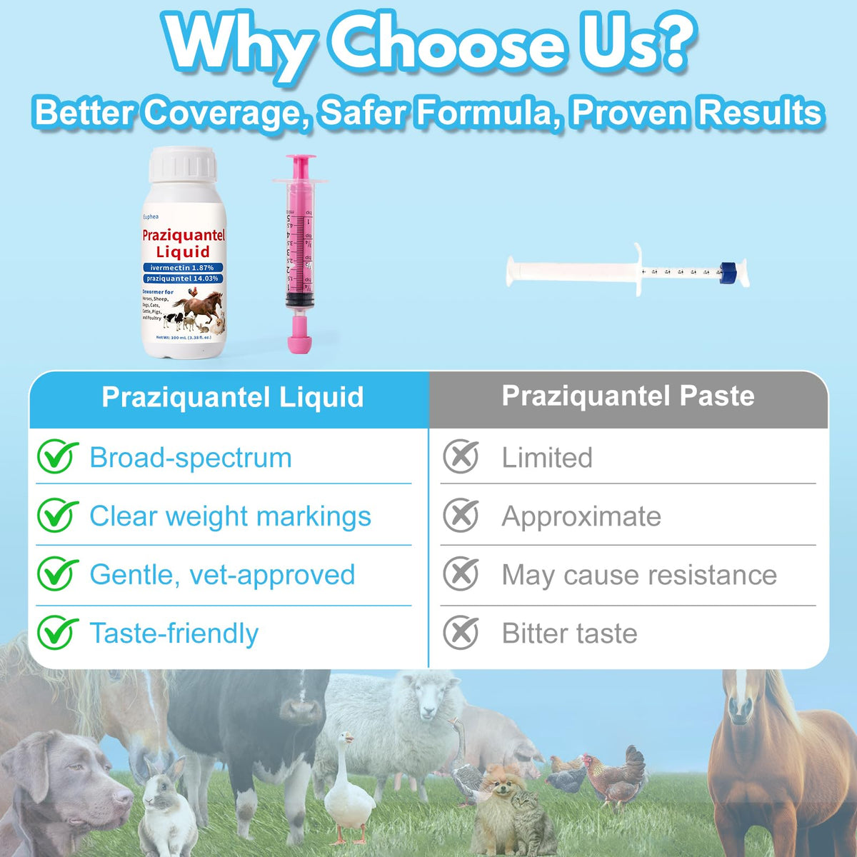 Praziquantel Dewormer 100 mL K603020