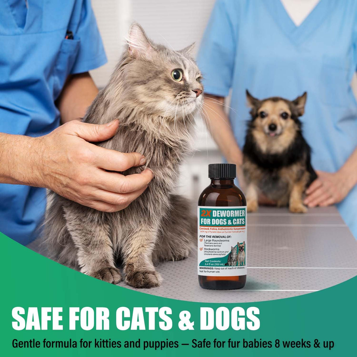 Liquid Dewormer 2X for Dogs & Cats, Pyrantel Pamoate Oral Liquid for Large Roundworms & Hookworms, 100 mL W4037