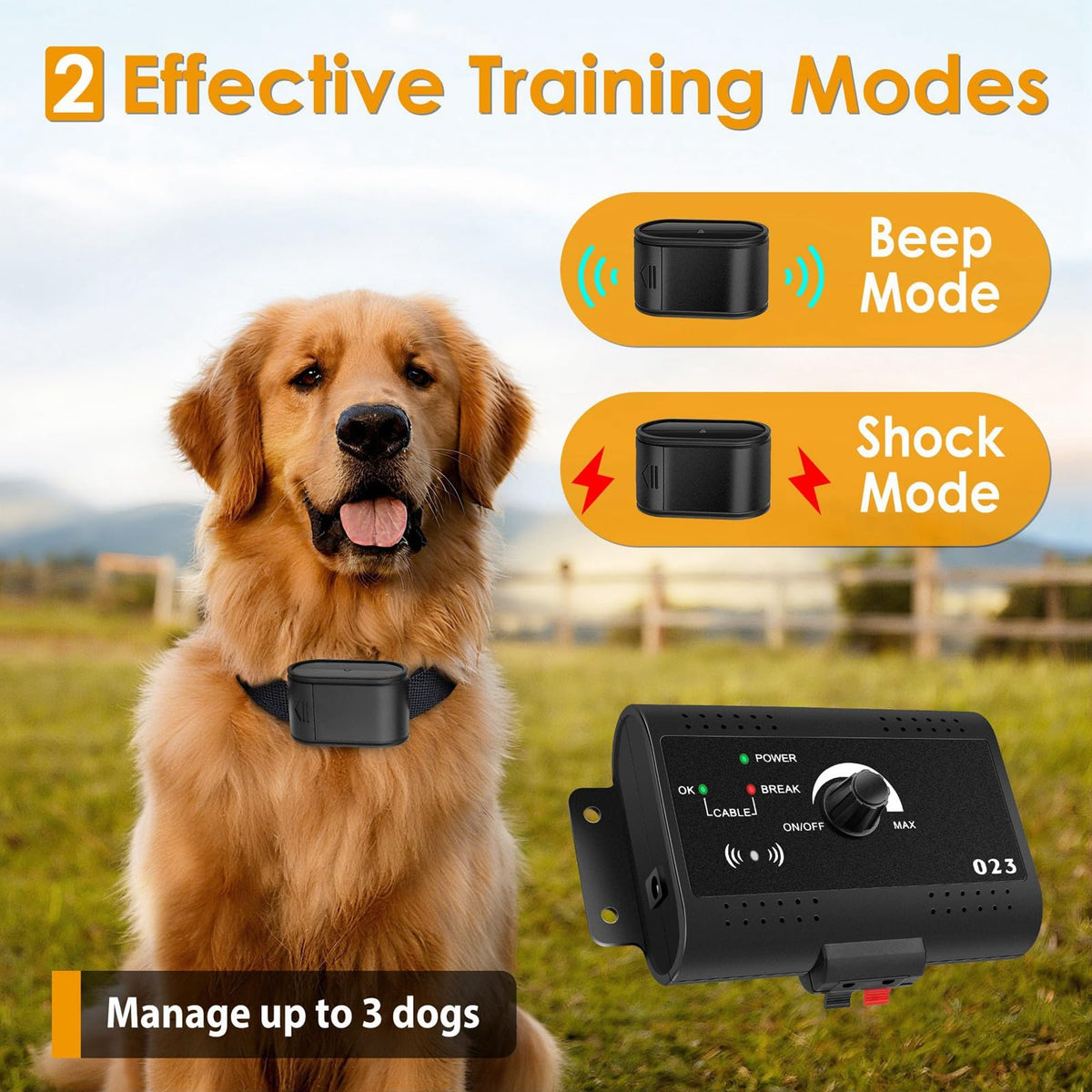 Electric Dog Fence System for 2 Dogs N67957