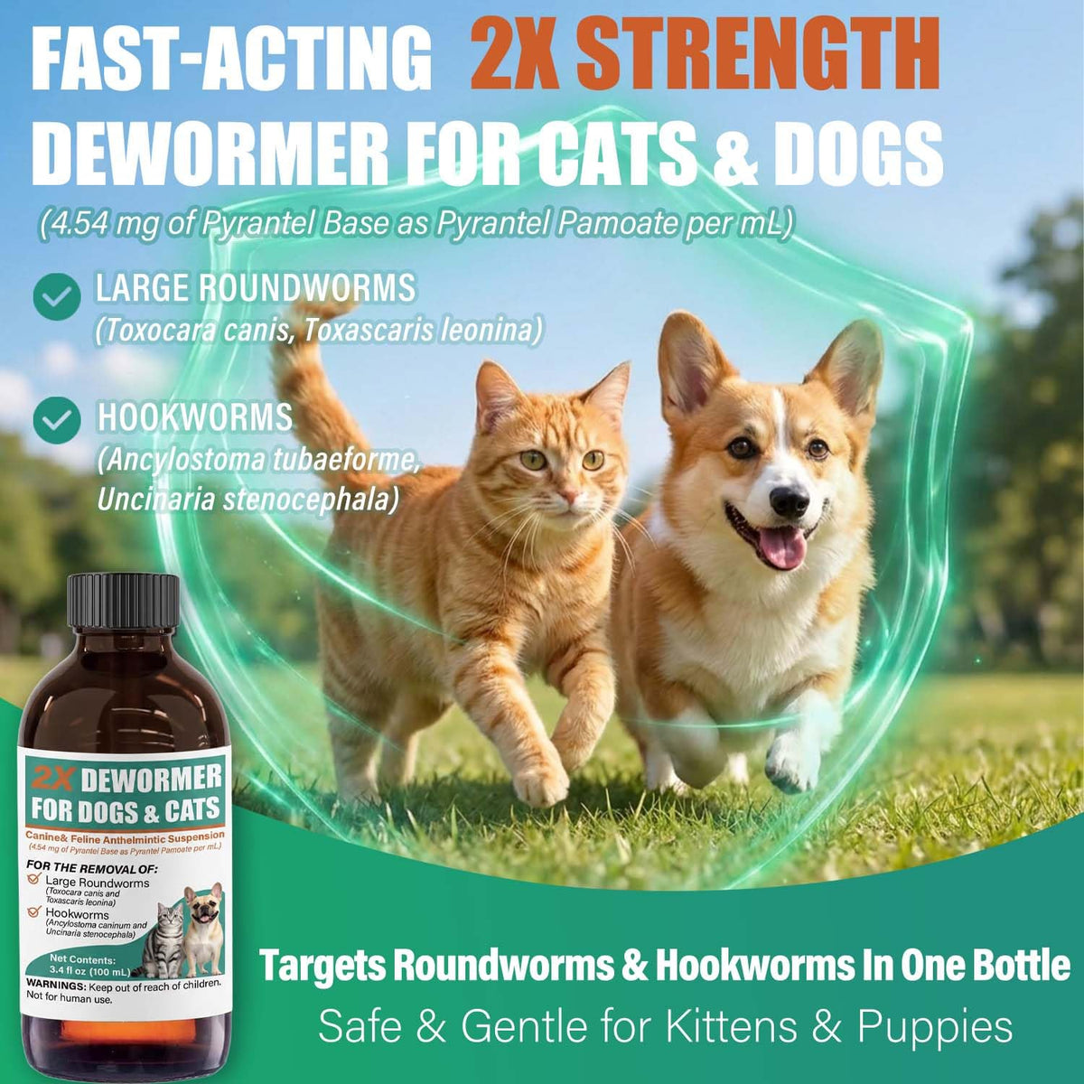 Liquid Dewormer 2X for Dogs & Cats, Pyrantel Pamoate Oral Liquid for Large Roundworms & Hookworms, 100 mL W4037