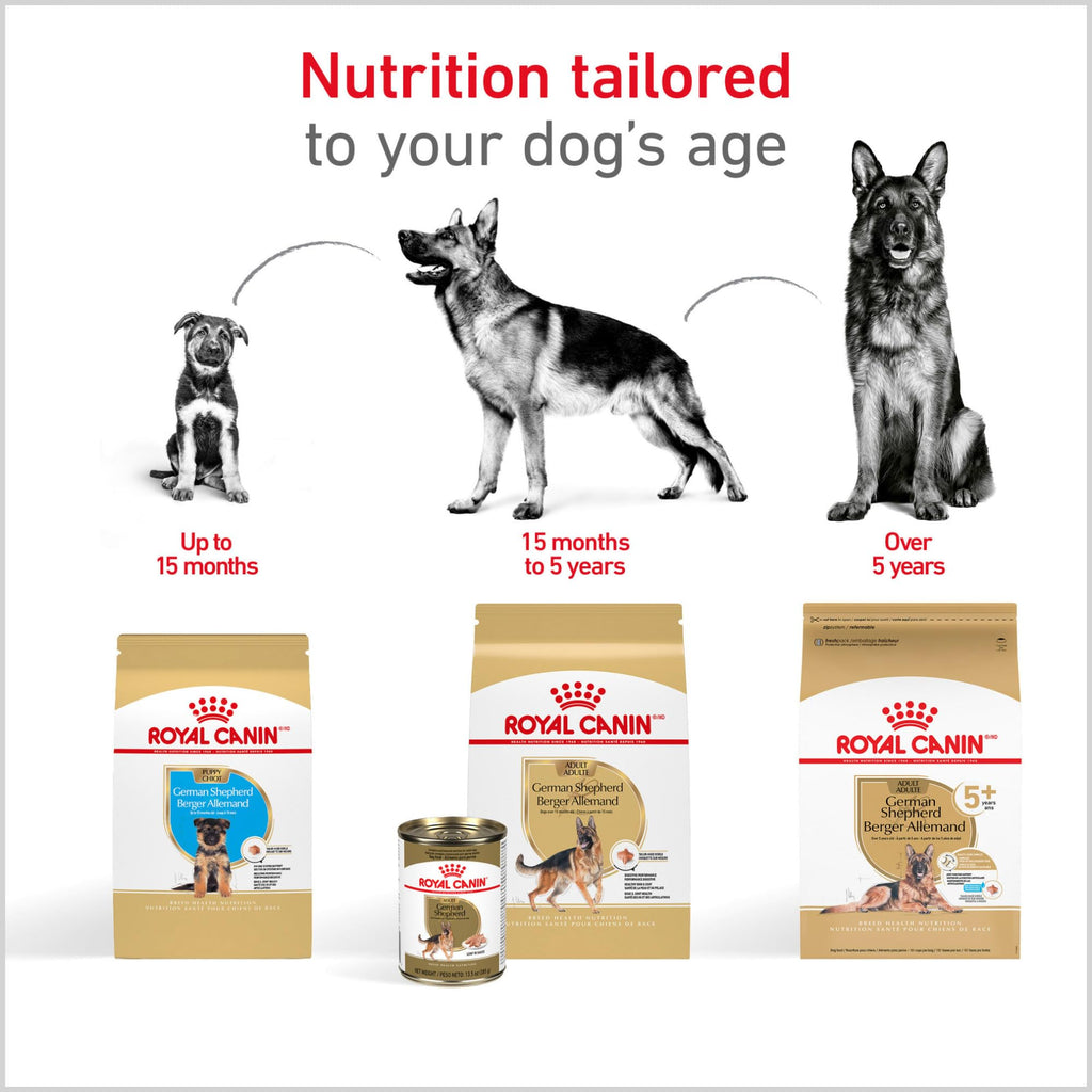 Adult Dry Dog Food 30 lb Bag T594
