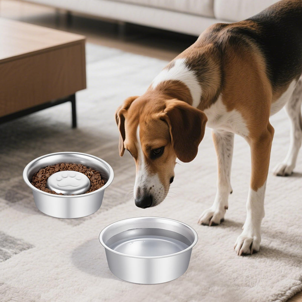 Stainless Steel Pet Dog Water and Food Bowl, 2-Pack G298