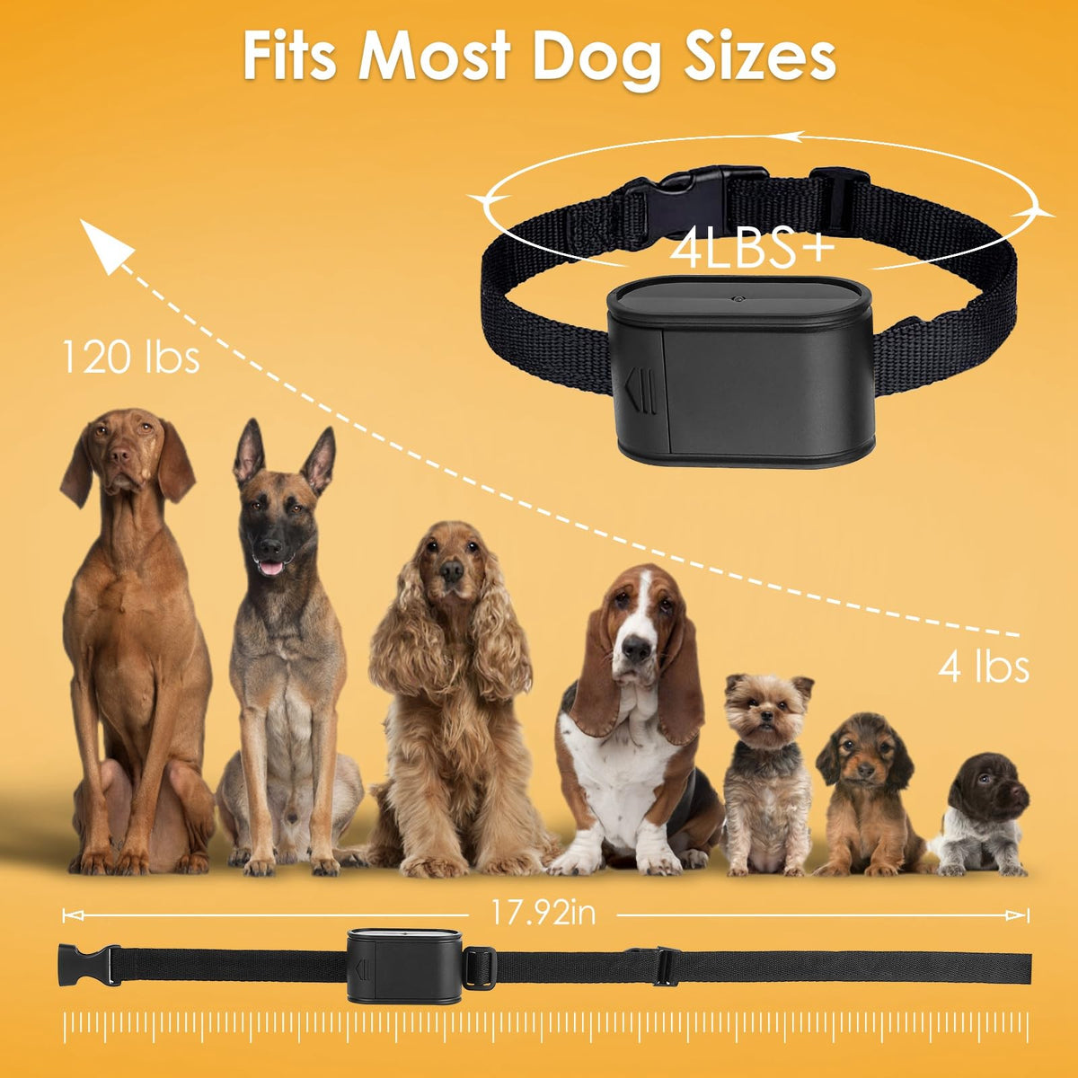 Electric Dog Fence System for 2 Dogs N67957