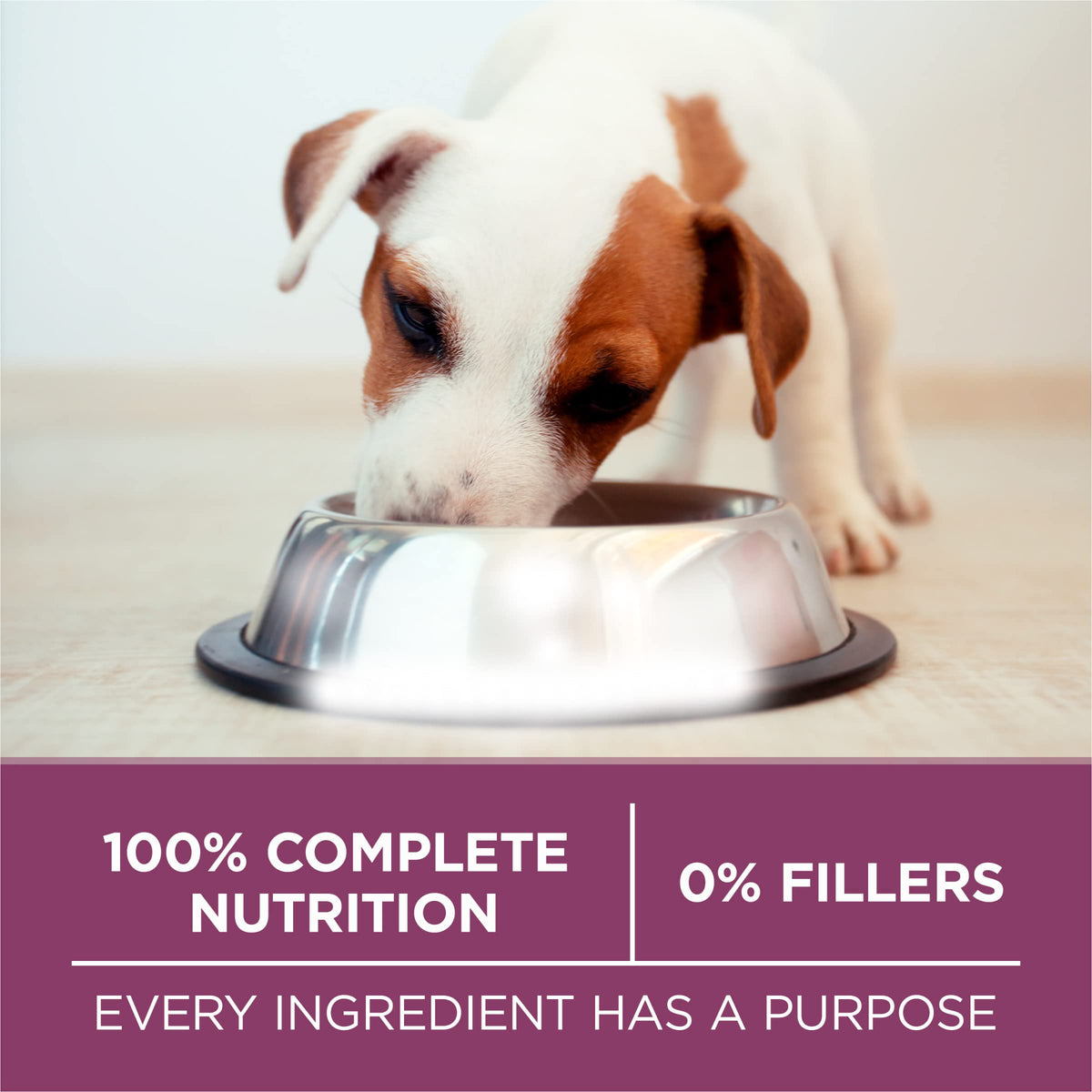 Chicken Dry Puppy Food 8 lb Bag M231417