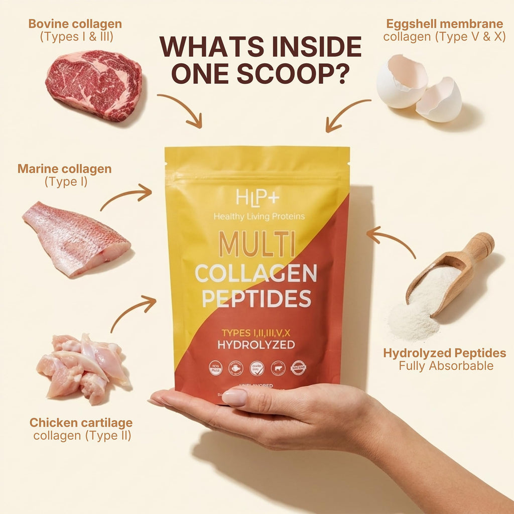 Multi Hydrolyzed Collagen Peptides Type I, II, III, V, & X Grass Fed Bovine Wild Caught Marine Free Range Chicken Gluten Free Unflavored 1 Pound R267200