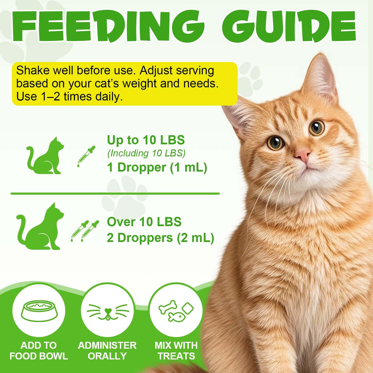 Chicken Flavor Hairball Treatment for Cats H170