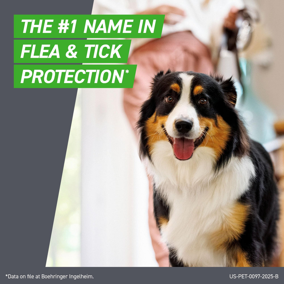 Flea & Tick Spot Treatment for Small Breed Dogs 5-22 lbs O55815