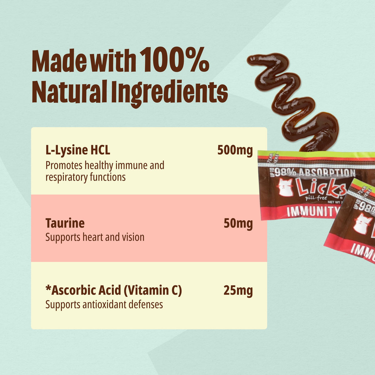 L-Lysine Savory Flavor 30 Packets T990