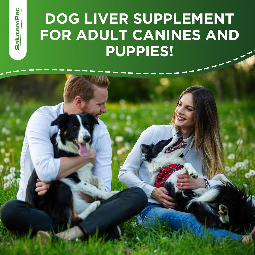 Milk Thistle Dog Liver Supplement 2 Oz X39860