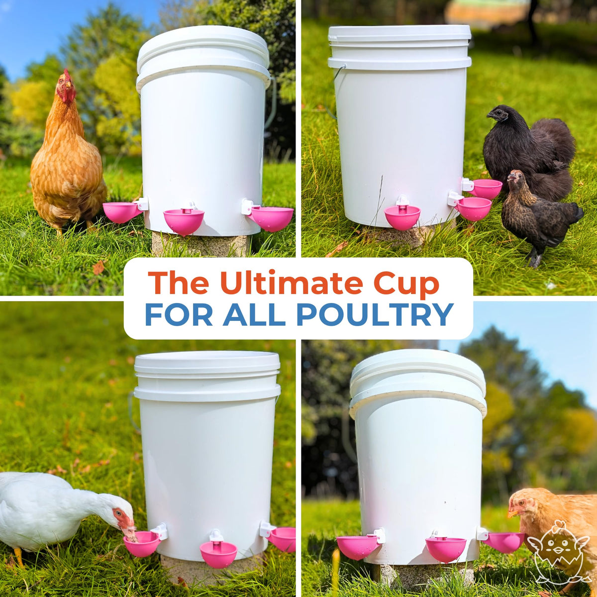 Automatic Chicken Waterer Cups 5 Pack F73744