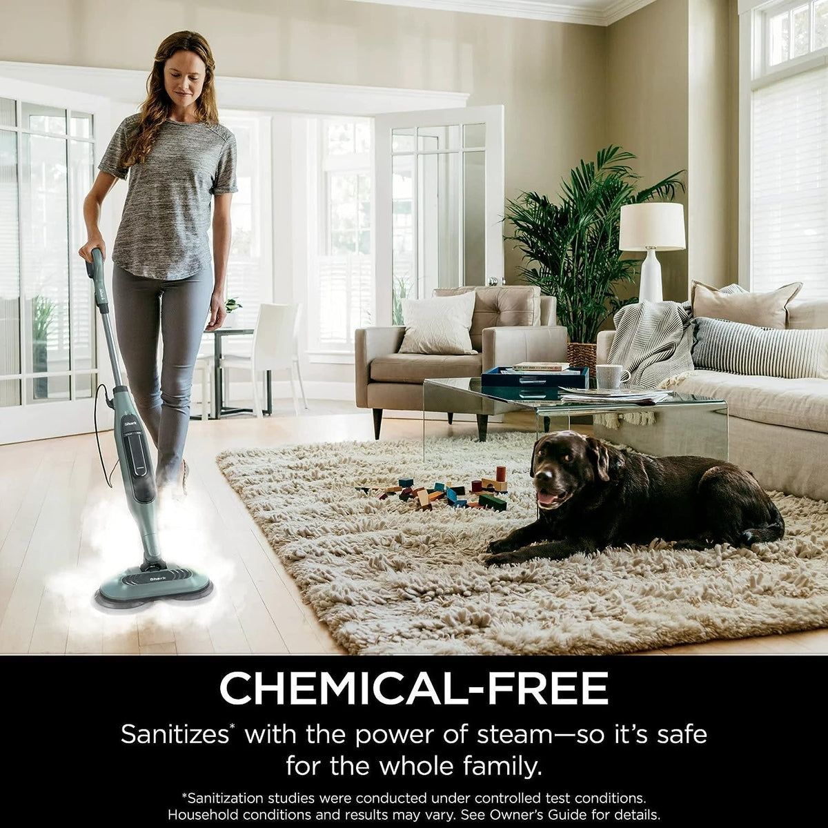 Steam Mop S10696