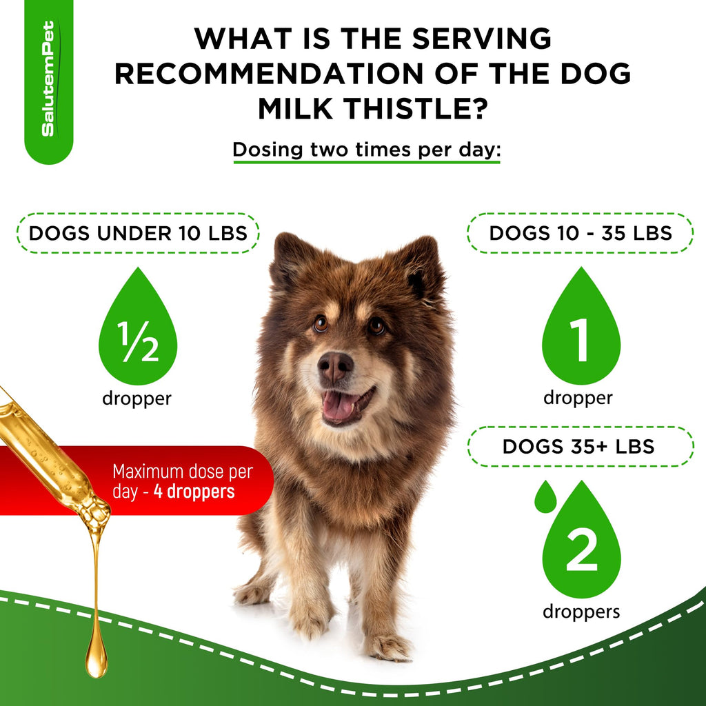 Milk Thistle Dog Liver Supplement 2 Oz X39860