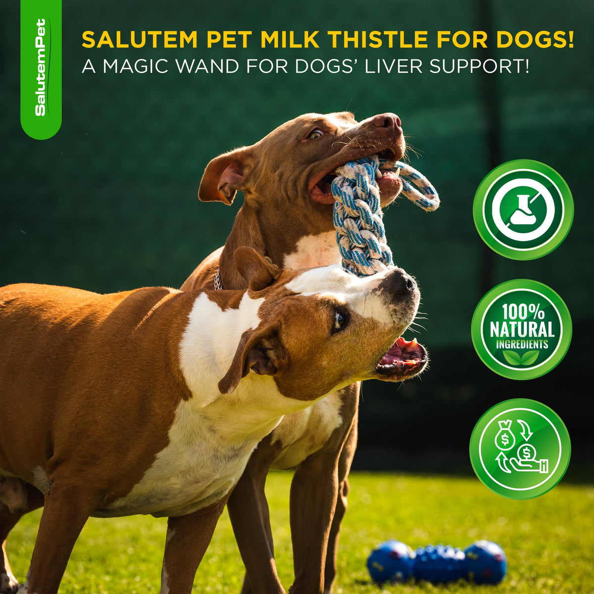 Milk Thistle Dog Liver Supplement 2 Oz X39860