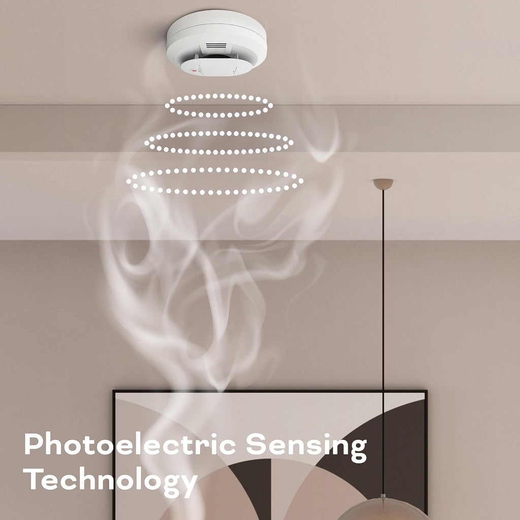Smoke & Carbon Monoxide Detector, AA Battery Powered, 1 Pack P770082