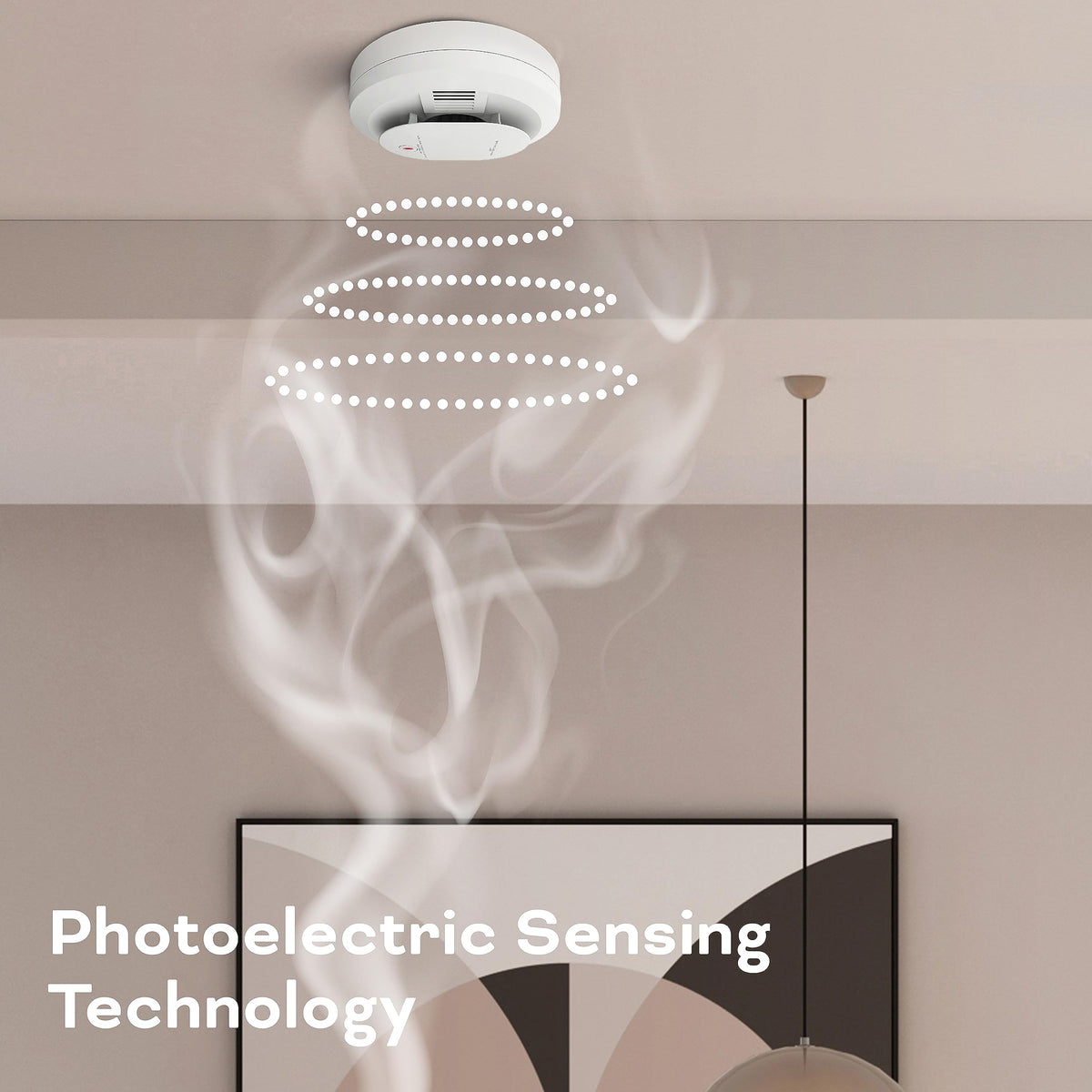Smoke & Carbon Monoxide Detector, AA Battery Powered, 1 Pack P770082