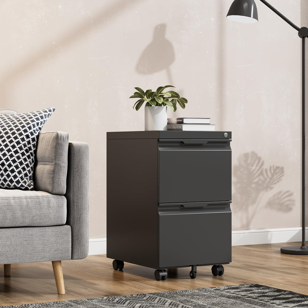 Black 2 Drawer Metal Rolling File Cabinet with Lock B10221