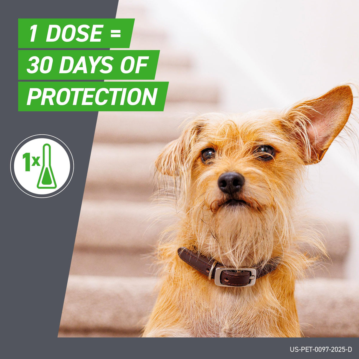 Flea & Tick Spot Treatment for Small Breed Dogs 5-22 lbs O55815