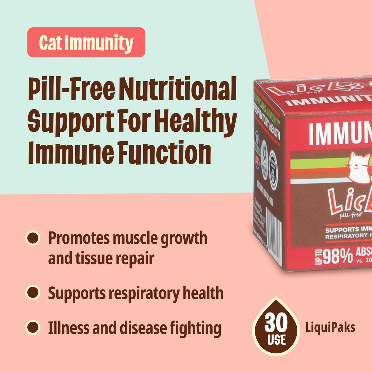 L-Lysine Savory Flavor 30 Packets T990