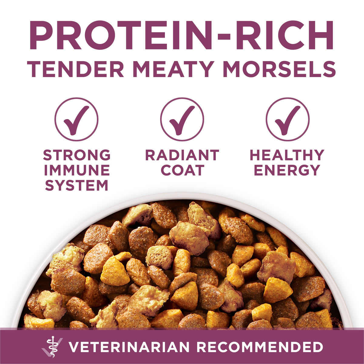Chicken Dry Puppy Food 8 lb Bag M231417
