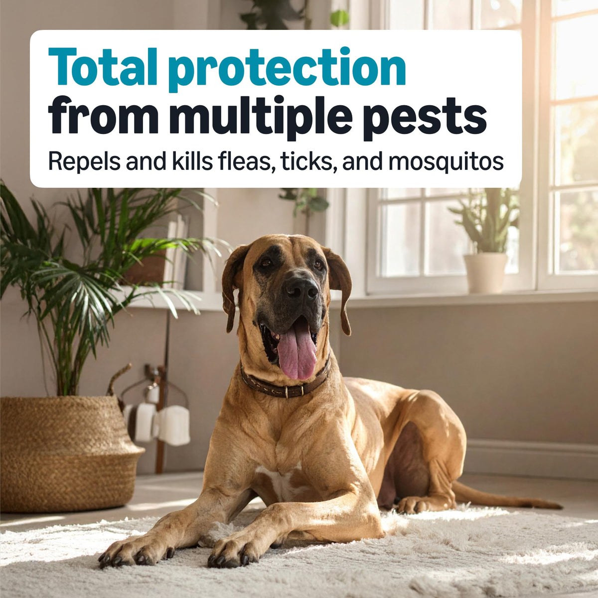 Flea, Tick & Mosquito Topical Treatment for X-Large Dogs, 6 Count W2153