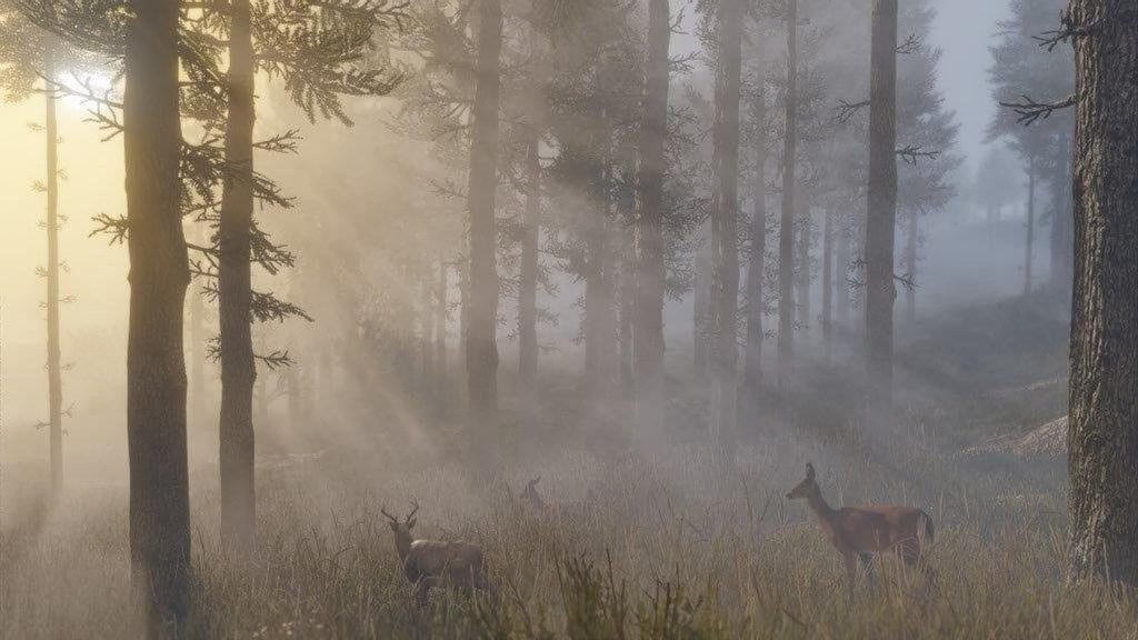 Red Dead Redemption 2 PS4 T5976