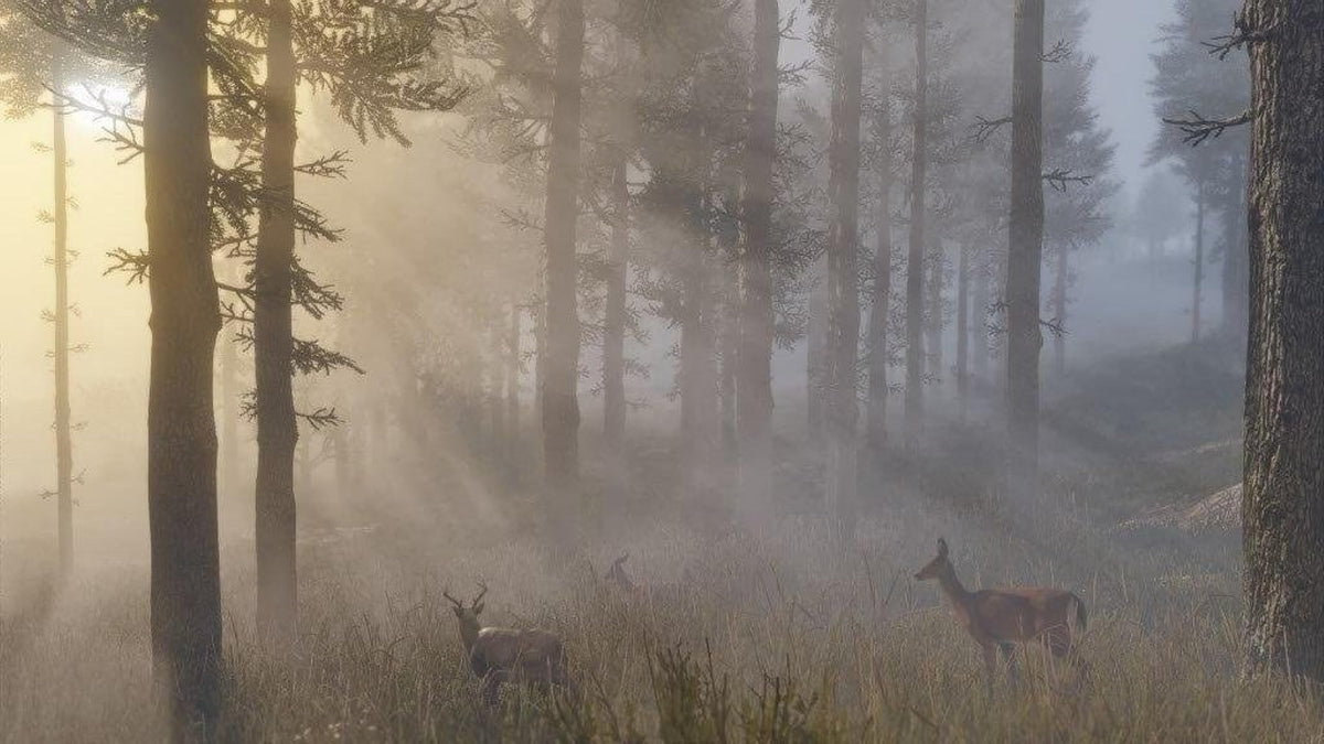 Red Dead Redemption 2 PS4 T5976