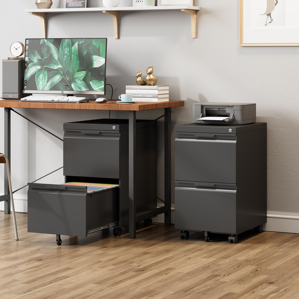 Black 2 Drawer Metal Rolling File Cabinet with Lock B10221