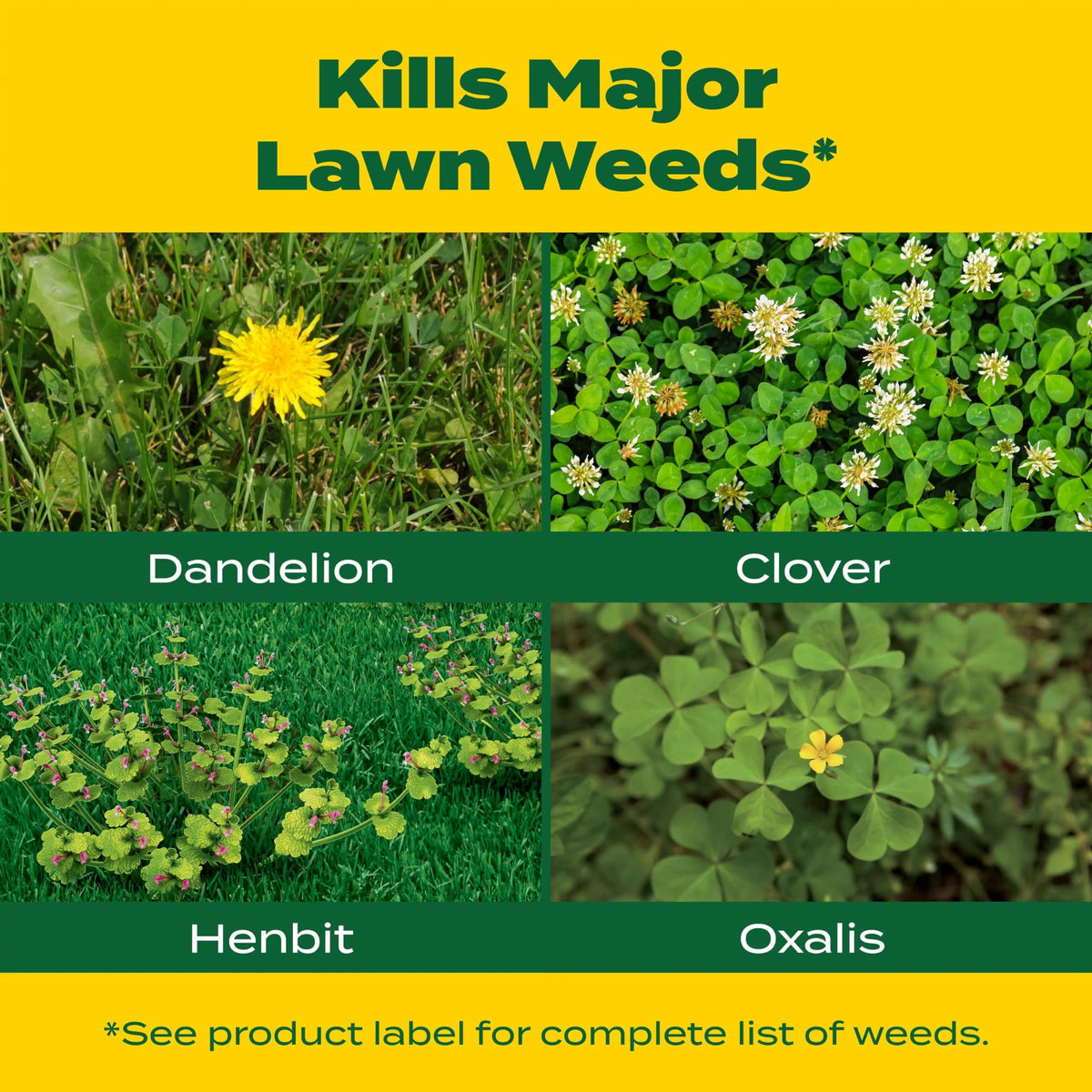 Liquid Turf Builder Plus 2 Weed Control 32 fl. oz. F655904