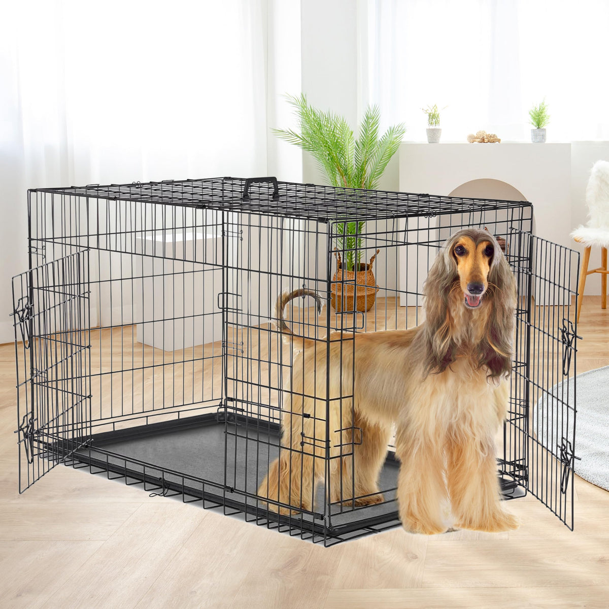 48-Inch Double Door Folding Metal Wire Dog Crate with Divider Z299